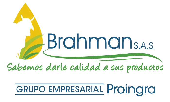 Grupo Proingra